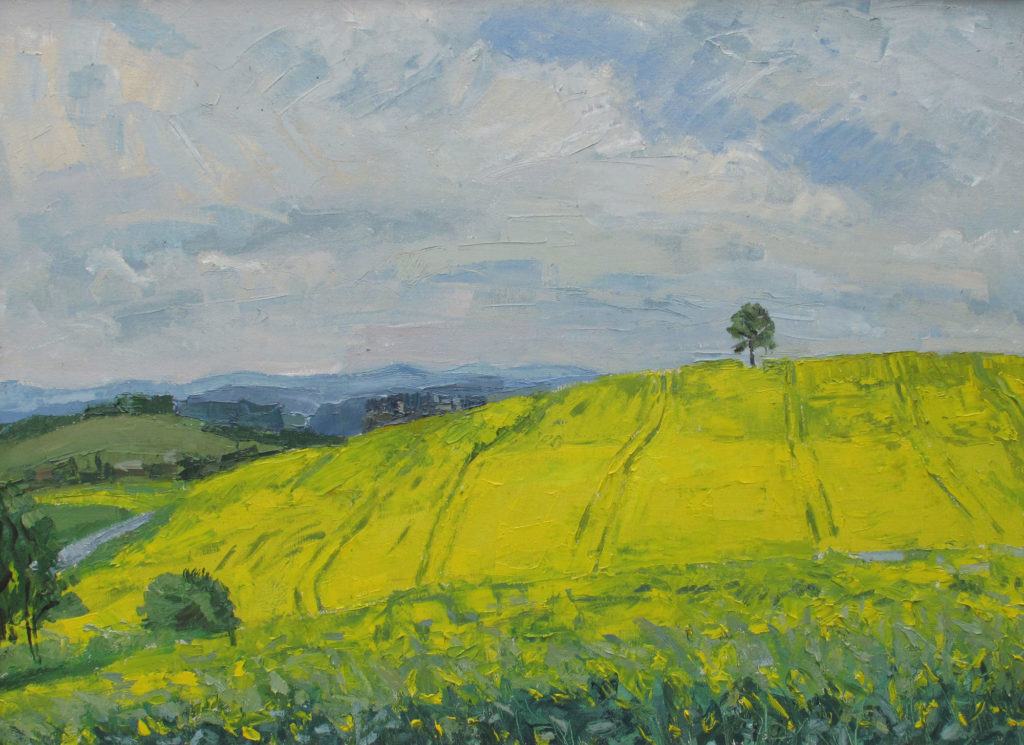 Rapsfeld am Dorf Öl 2009 65 x 90 cm
